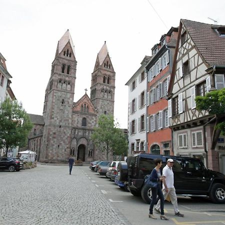 Gite Le Colombier Selestat - 30Min Europapark Екстериор снимка